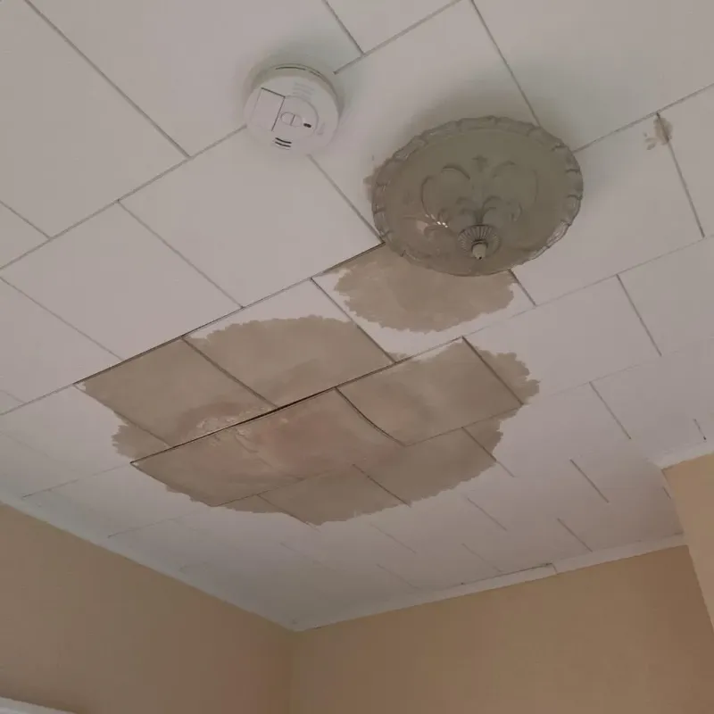 Ceiling Water Damage Repair in De Witt, IA