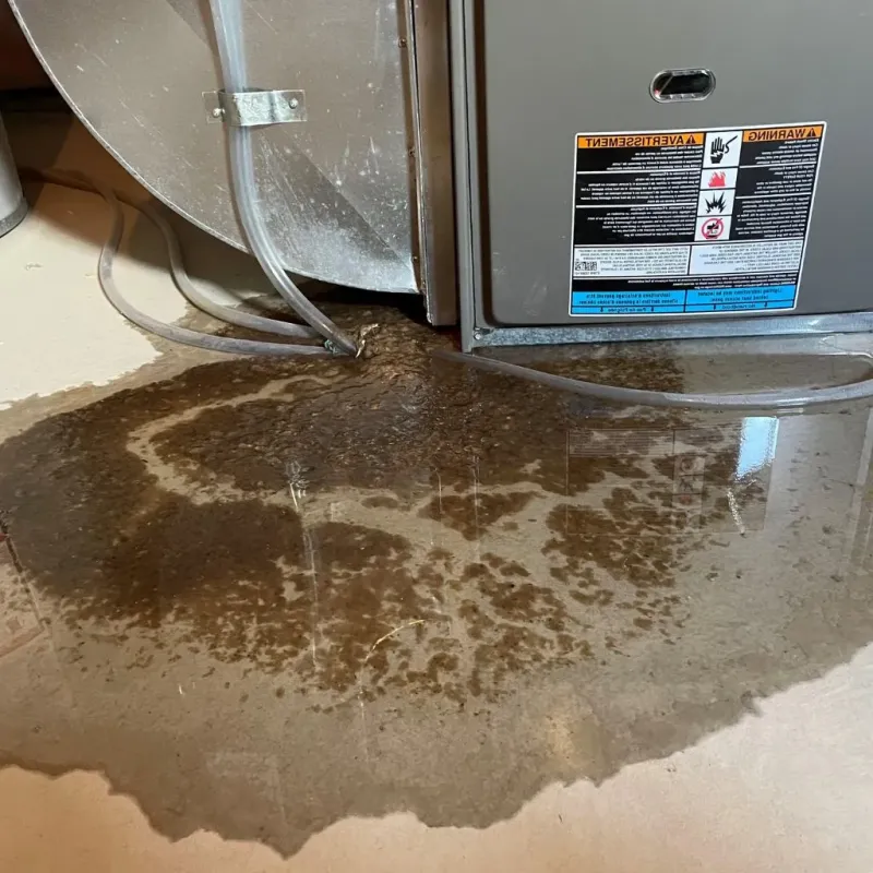 Pipe Burst and Leak Restoration in De Witt, IA