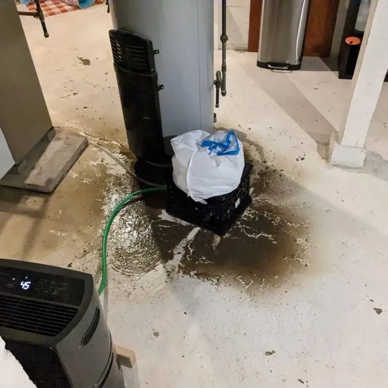 Sewage Backup Cleanup Service in De Witt, IA